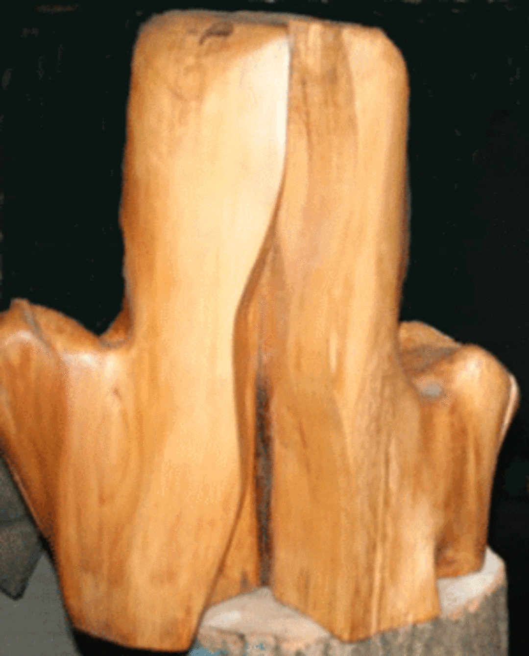 Daphnes Metamorphose