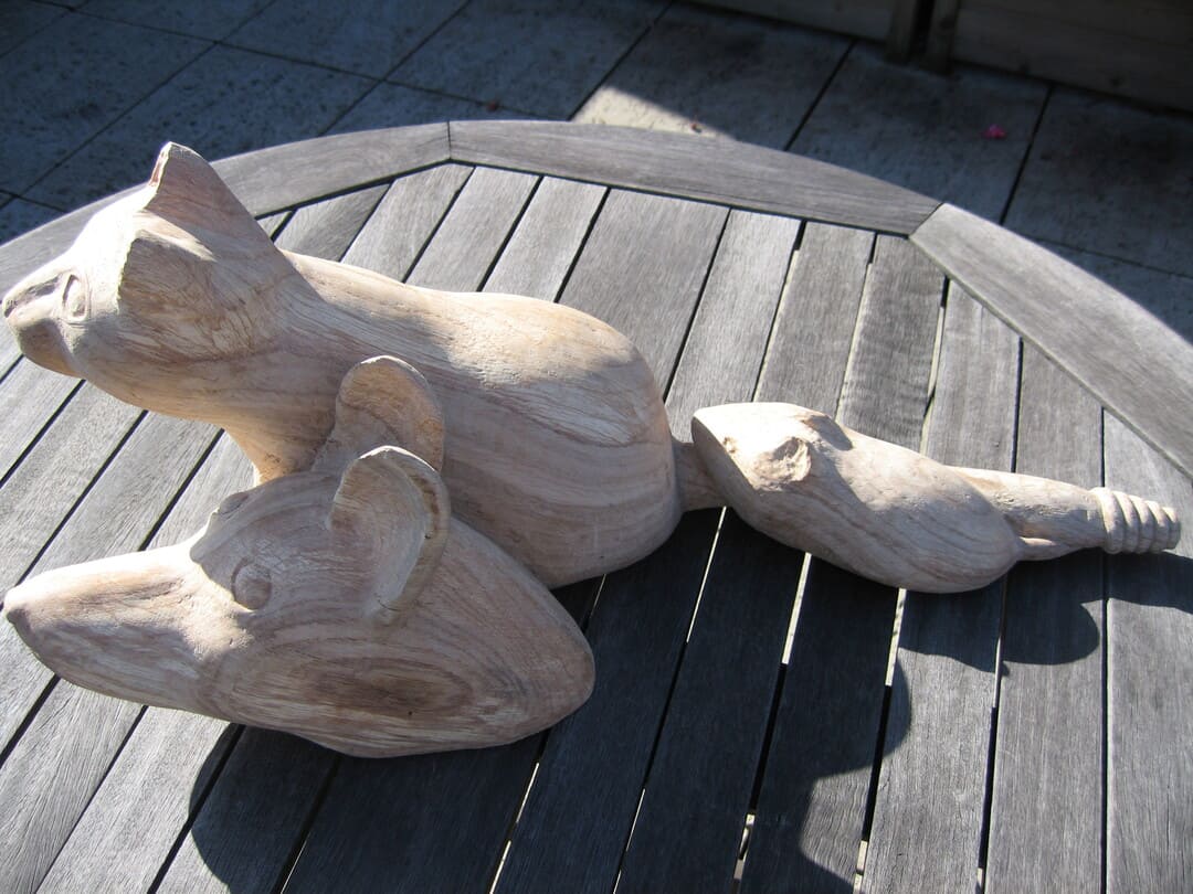 Hundkatzemaus