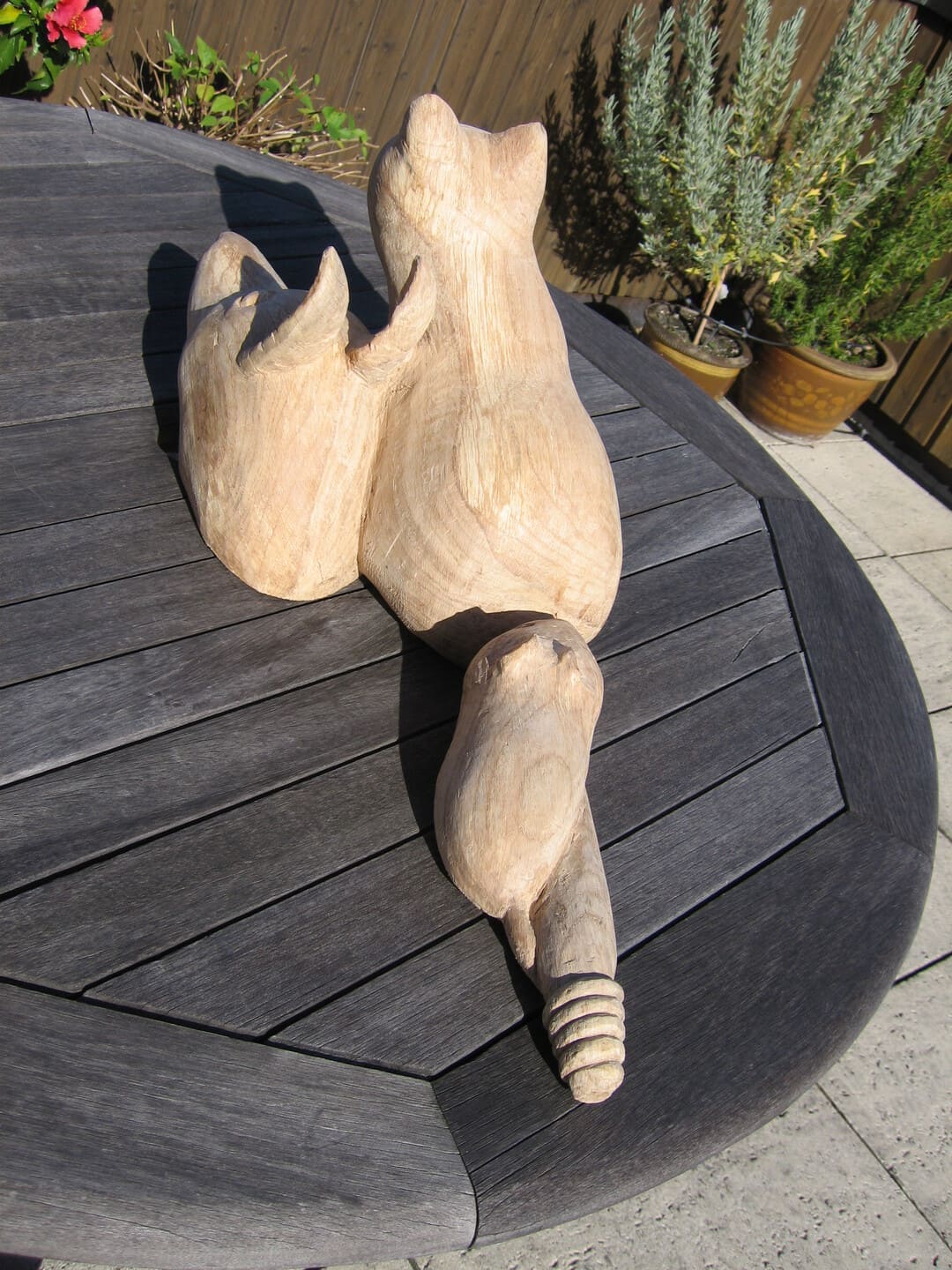 Hundkatzemaus