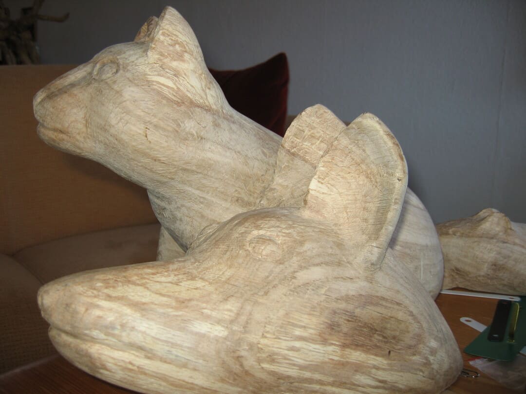 Hundkatzemaus