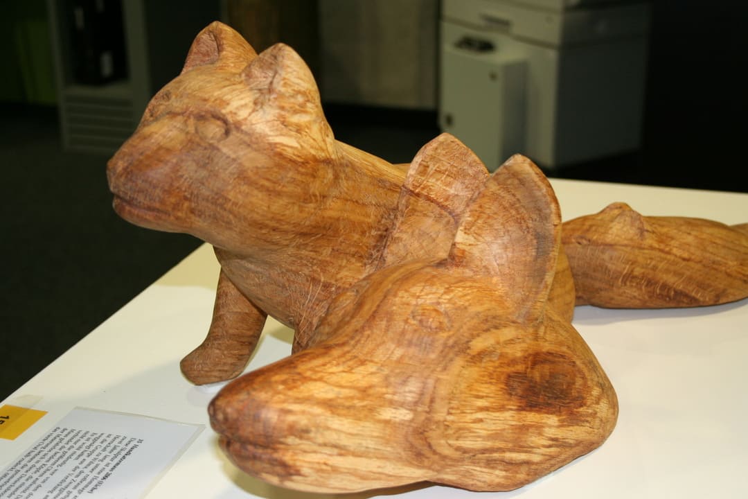 Hundkatzemaus