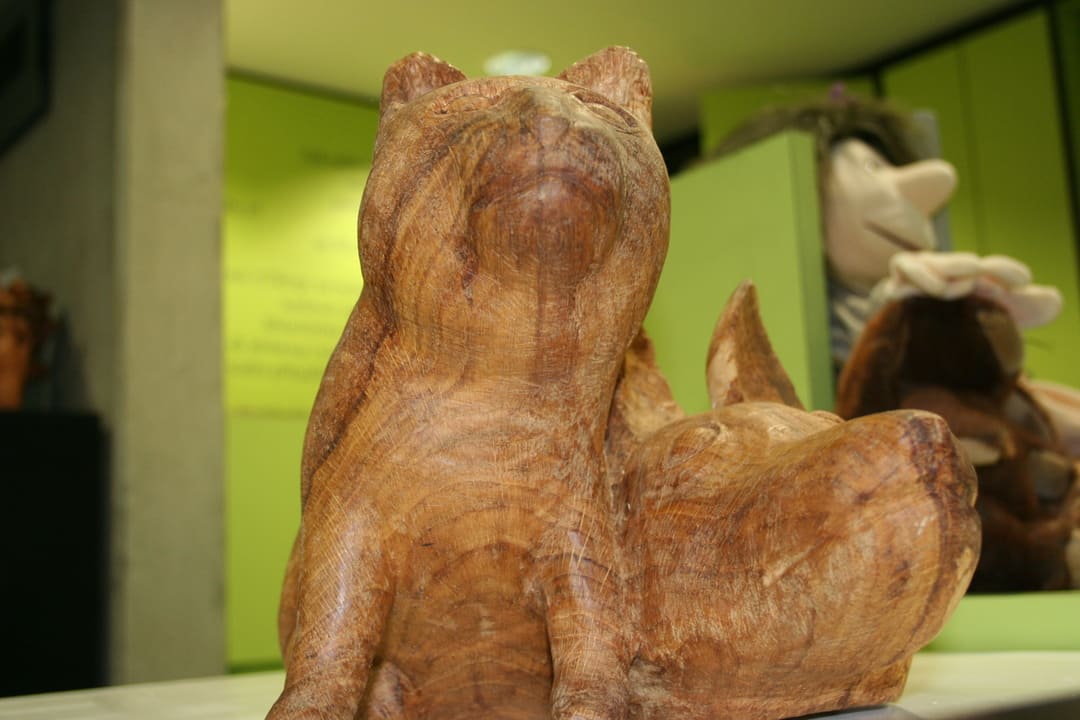 Hundkatzemaus