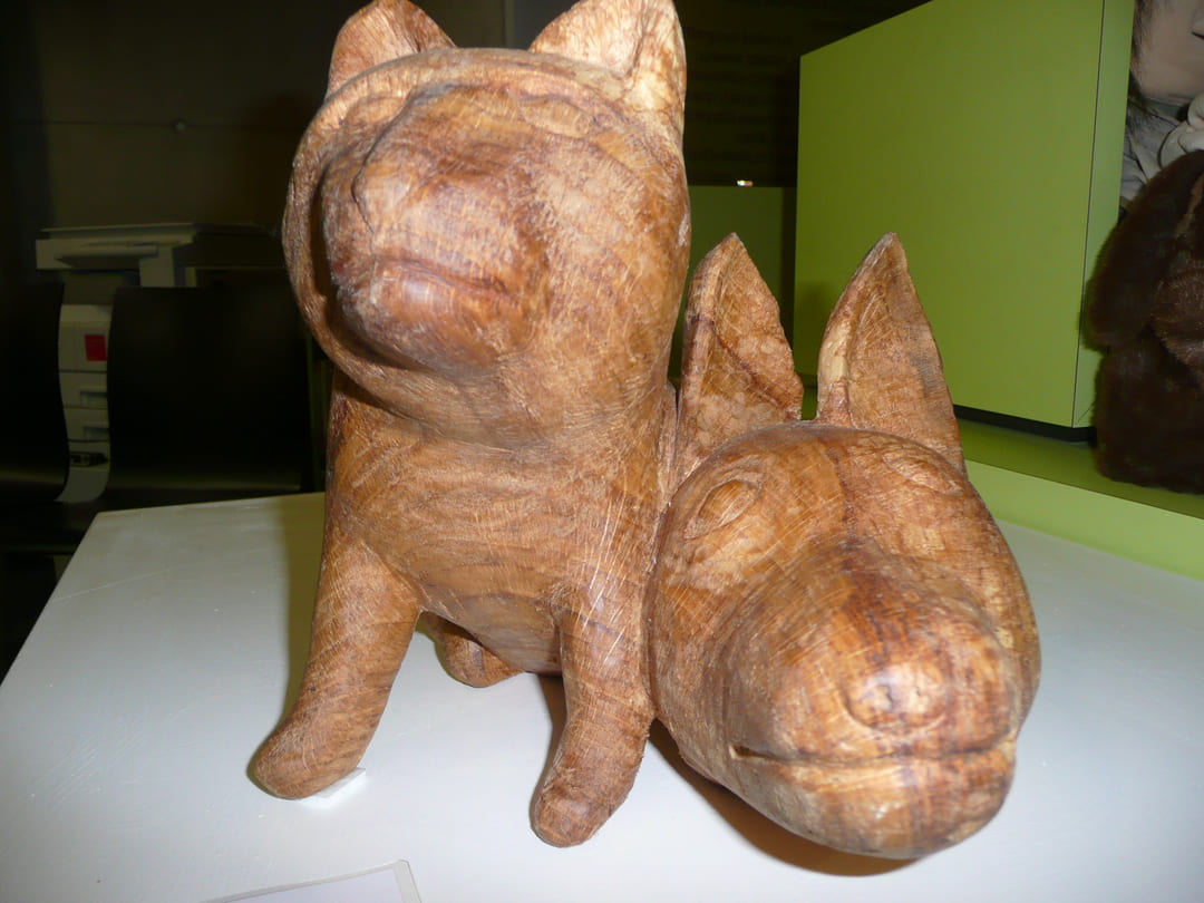 Hundkatzemaus