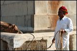 img_4056