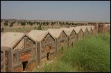 img_4163