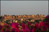 img_4179