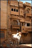 img_4363