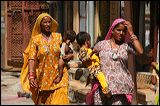 img_4435