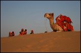 img_4505
