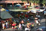 img_5459