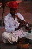 img_5500