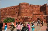 img_6242