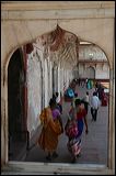img_6305