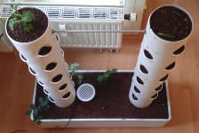 Vertical planter - Soil substituted with clay granulate