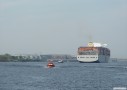 P1000513