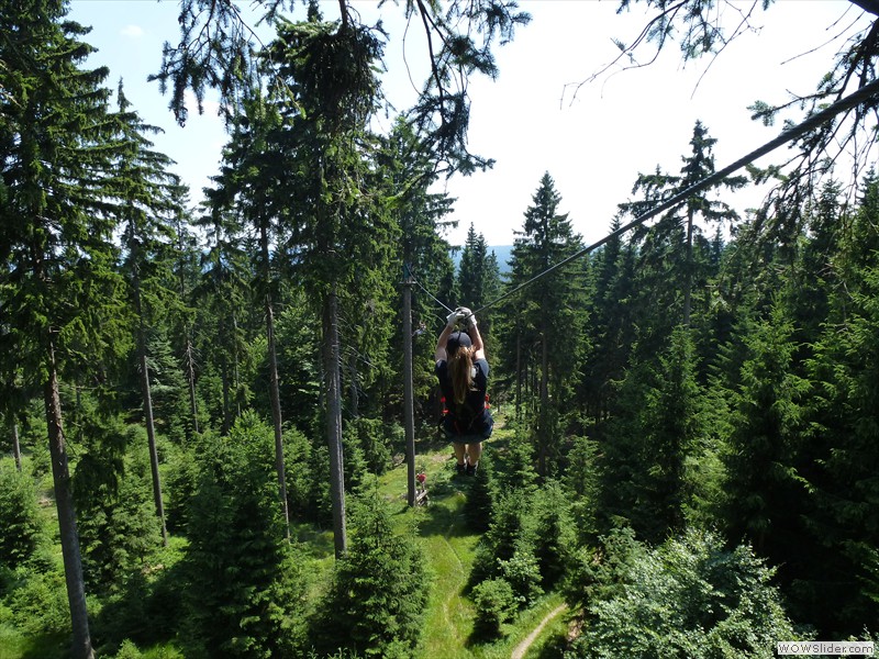 bis 23 Meter hoch