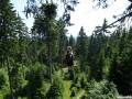 bis 23 Meter hoch