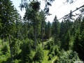 bis 280 Meter lange Ziplines