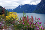 Blick ber Fjord