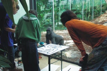 arbeit bei den gorillas
